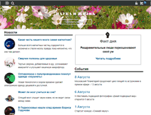 Tablet Screenshot of nkj.ru